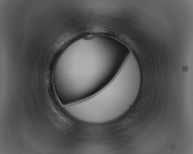 X0000091660732200708230950