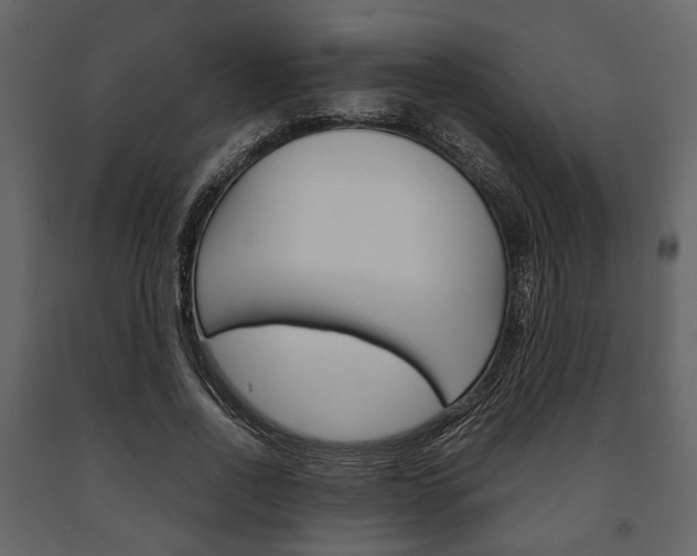 X0000091660734200708230950