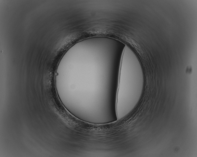 X0000091660735200708230950