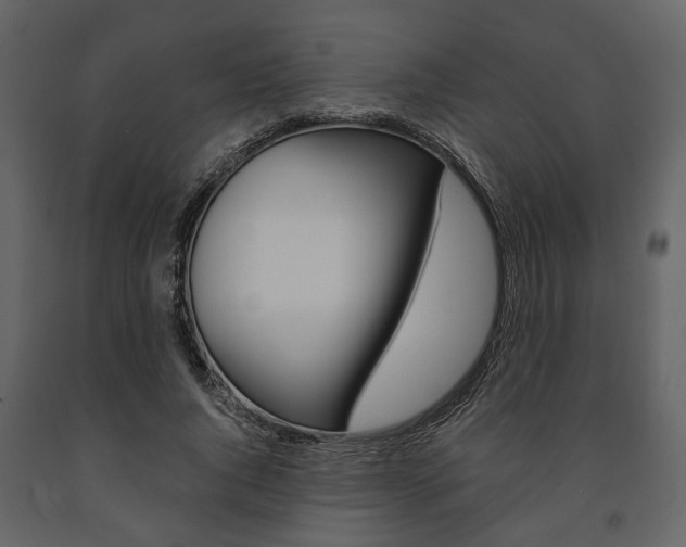 X0000091660736200708230950