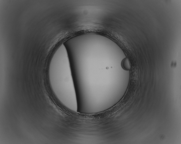 X0000091660738200708230950