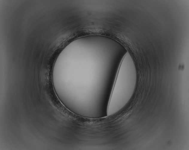 X0000091660739200708230950