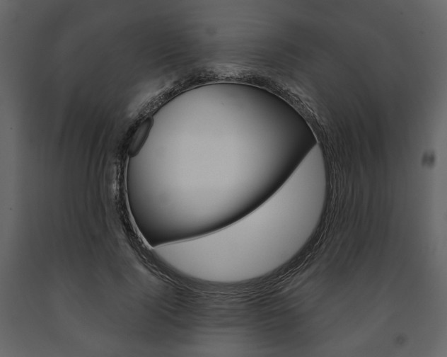 X0000091660740200708230950