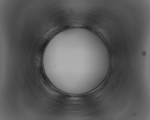 X0000091660741200708230950
