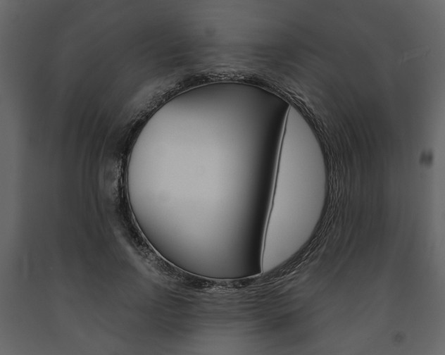 X0000091660742200708230950