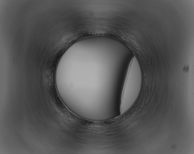 X0000091660743200708230950