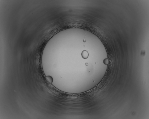 X0000091660745200708230950