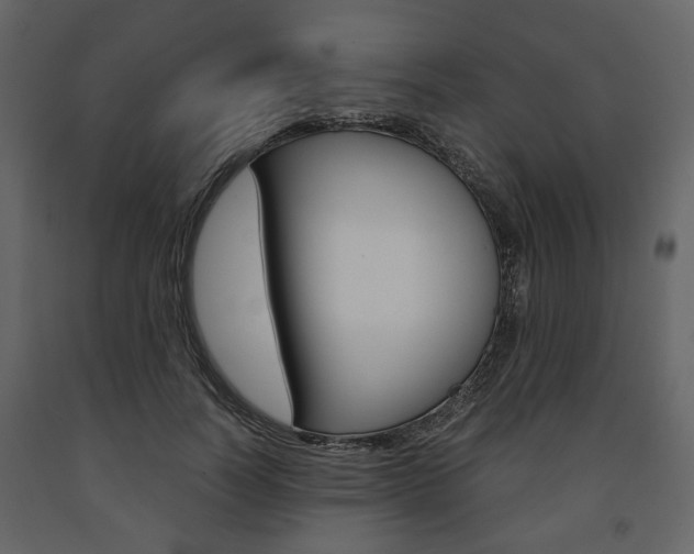 X0000091660746200708230950