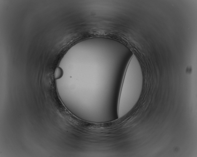 X0000091660747200708230950