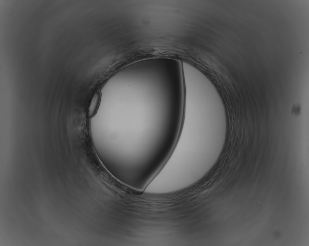 X0000091660748200708230950