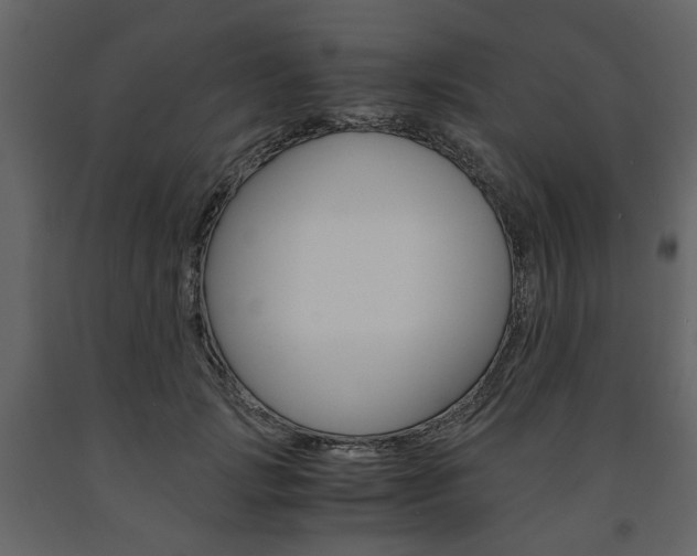 X0000091660749200708230950