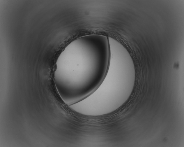 X0000091660750200708230950