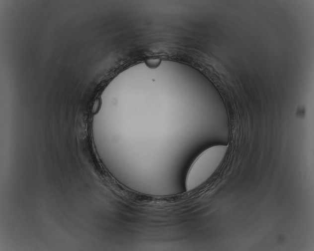 X0000091660751200708230950