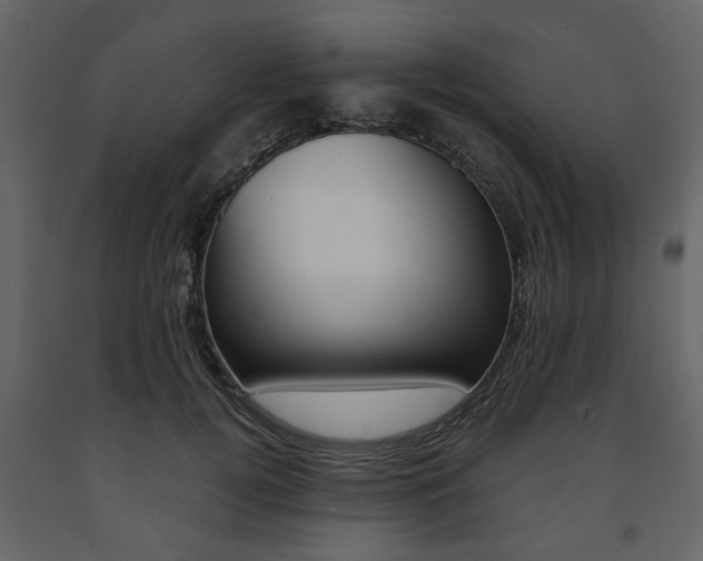X0000091660752200708230950