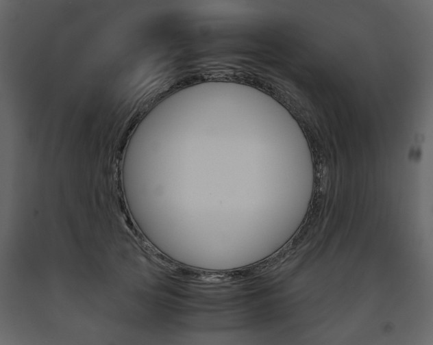 X0000091660753200708230950
