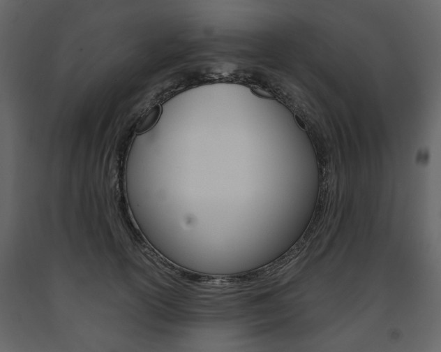 X0000091660754200708230950