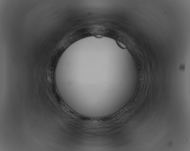 X0000091660755200708230950