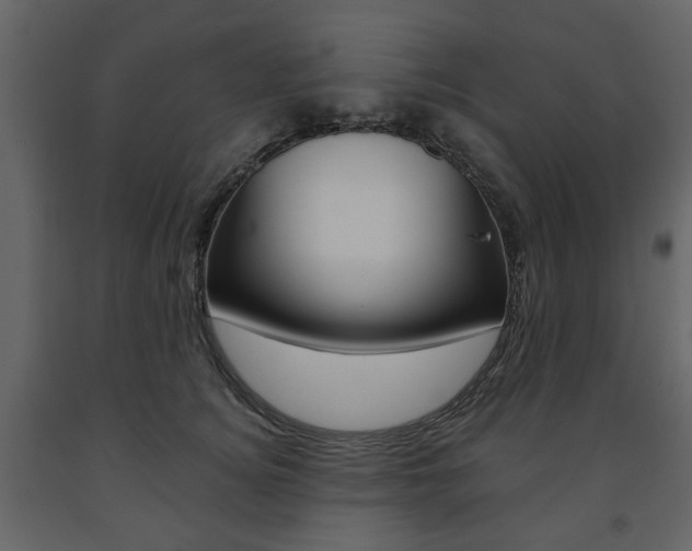 X0000091660756200708230950