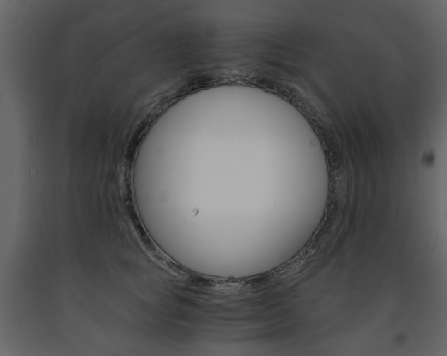 X0000091660757200708230950