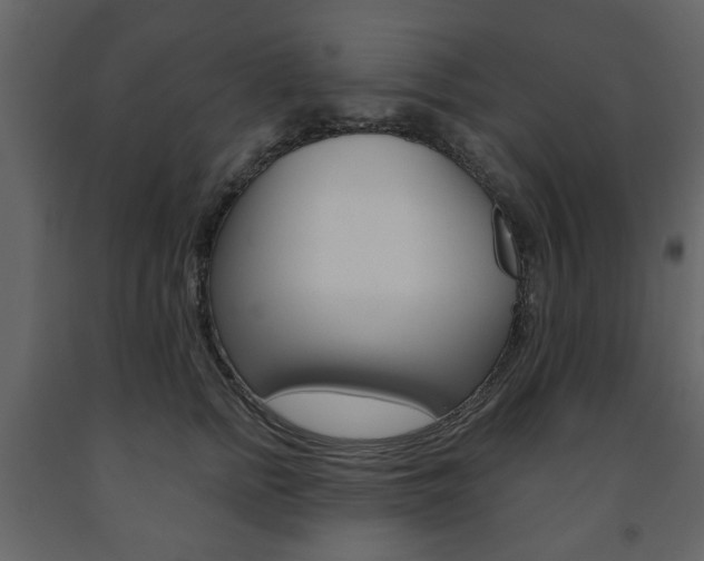 X0000091660758200708230950
