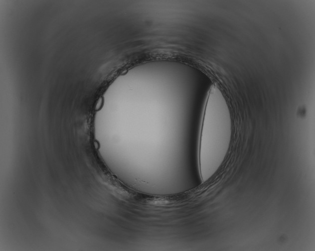 X0000091660759200708230950