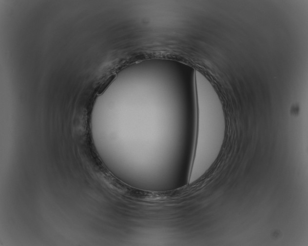 X0000091660760200708230950