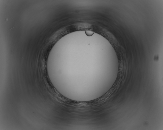 X0000091660761200708230950