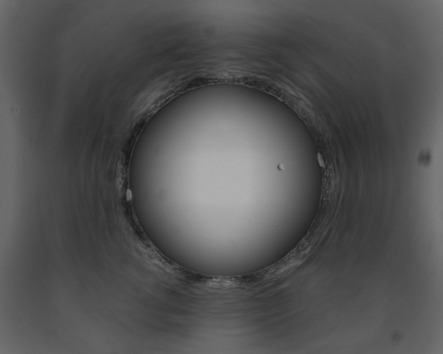 X0000091660762200708230950