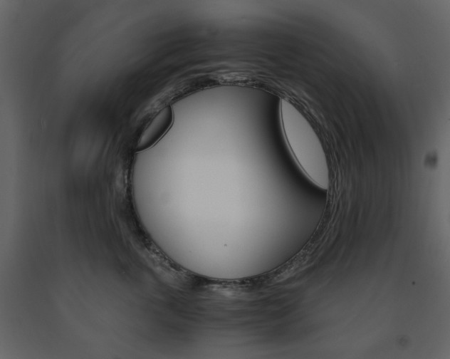 X0000091660763200708230950
