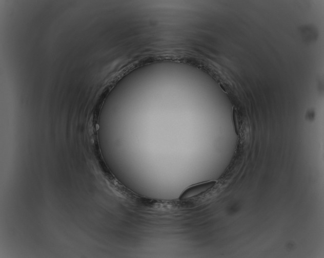 X0000091660764200708230950