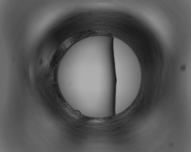 X0000091660765200708230950