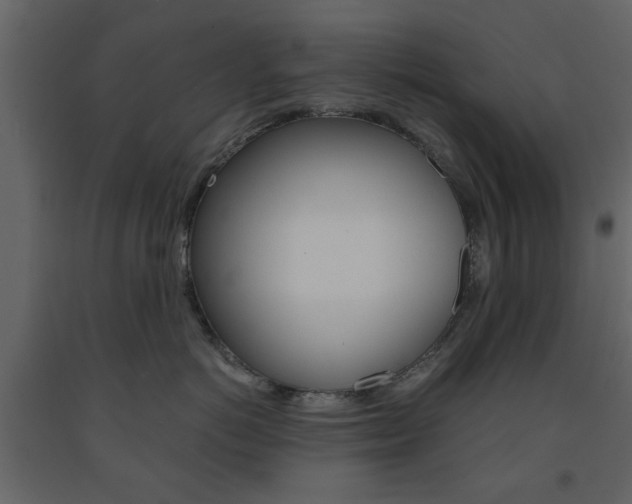 X0000091660766200708230950