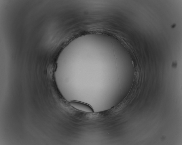 X0000091660767200708230950