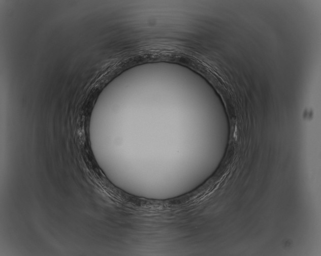 X0000091660771200708230950