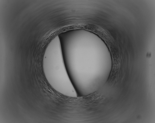 X0000091660773200708230950