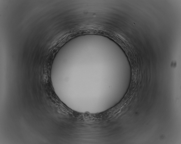 X0000091660774200708230950