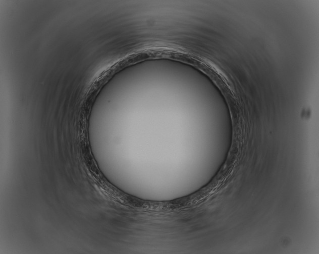 X0000091660775200708230950