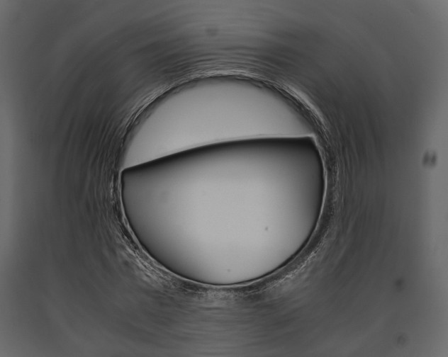 X0000091660777200708230950