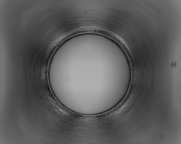 X0000091660778200708230950