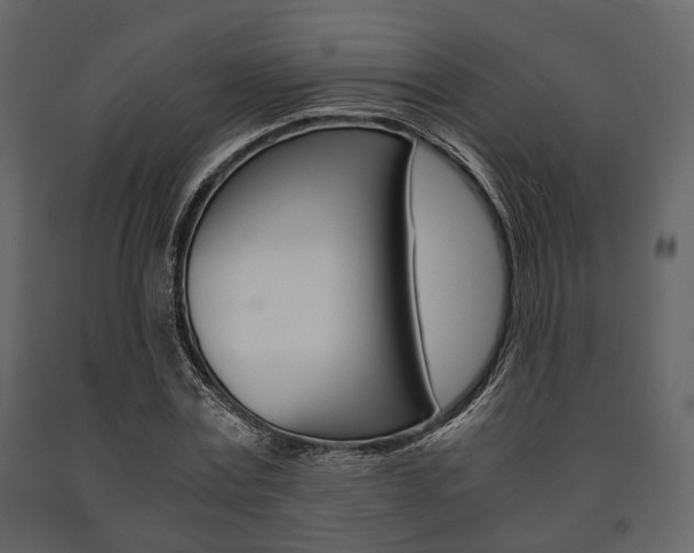 X0000091660779200708230950