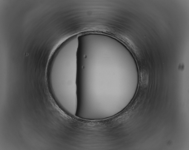 X0000091660780200708230950