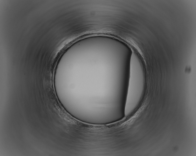 X0000091660781200708230950