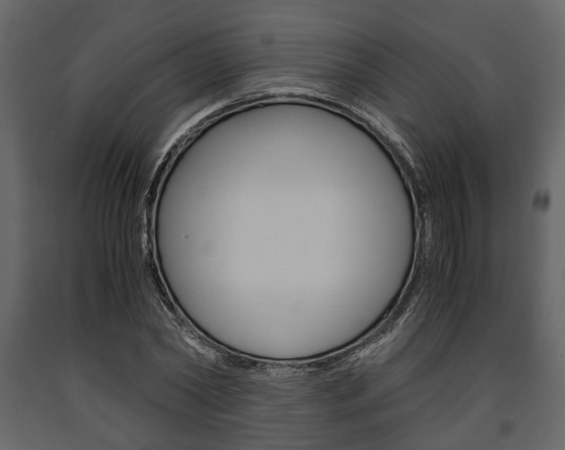 X0000091660782200708230949