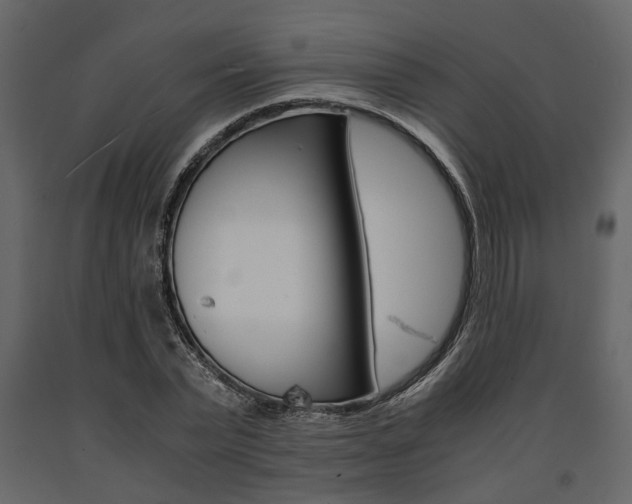 X0000091660783200708230949