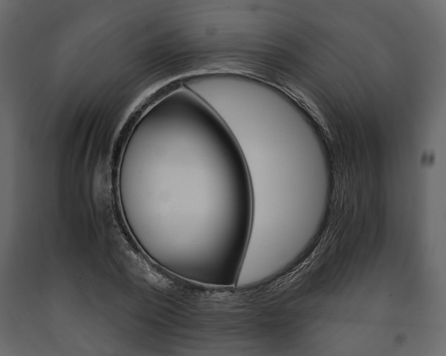X0000091660784200708230949