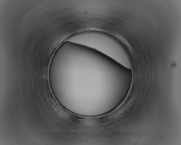 X0000091660785200708230949