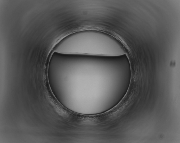 X0000091660786200708230949