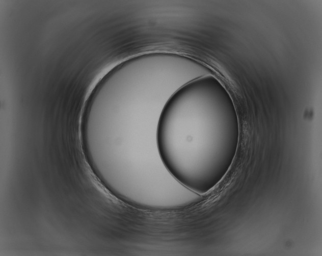 X0000091660788200708230949