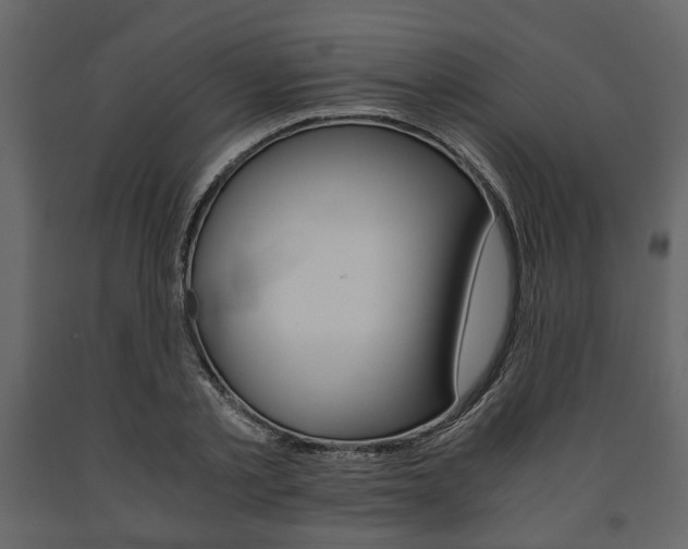 X0000091660789200708230949