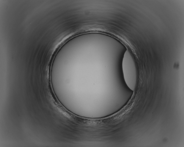 X0000091660790200708230949
